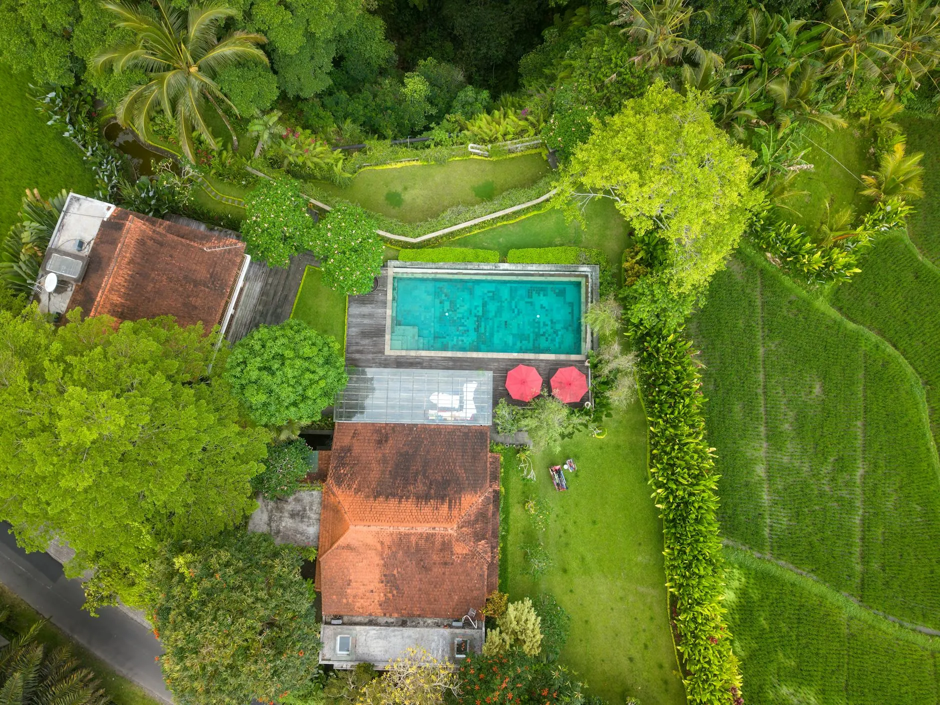 A Bali villa pool deck with sun loungers overlooking a green valley