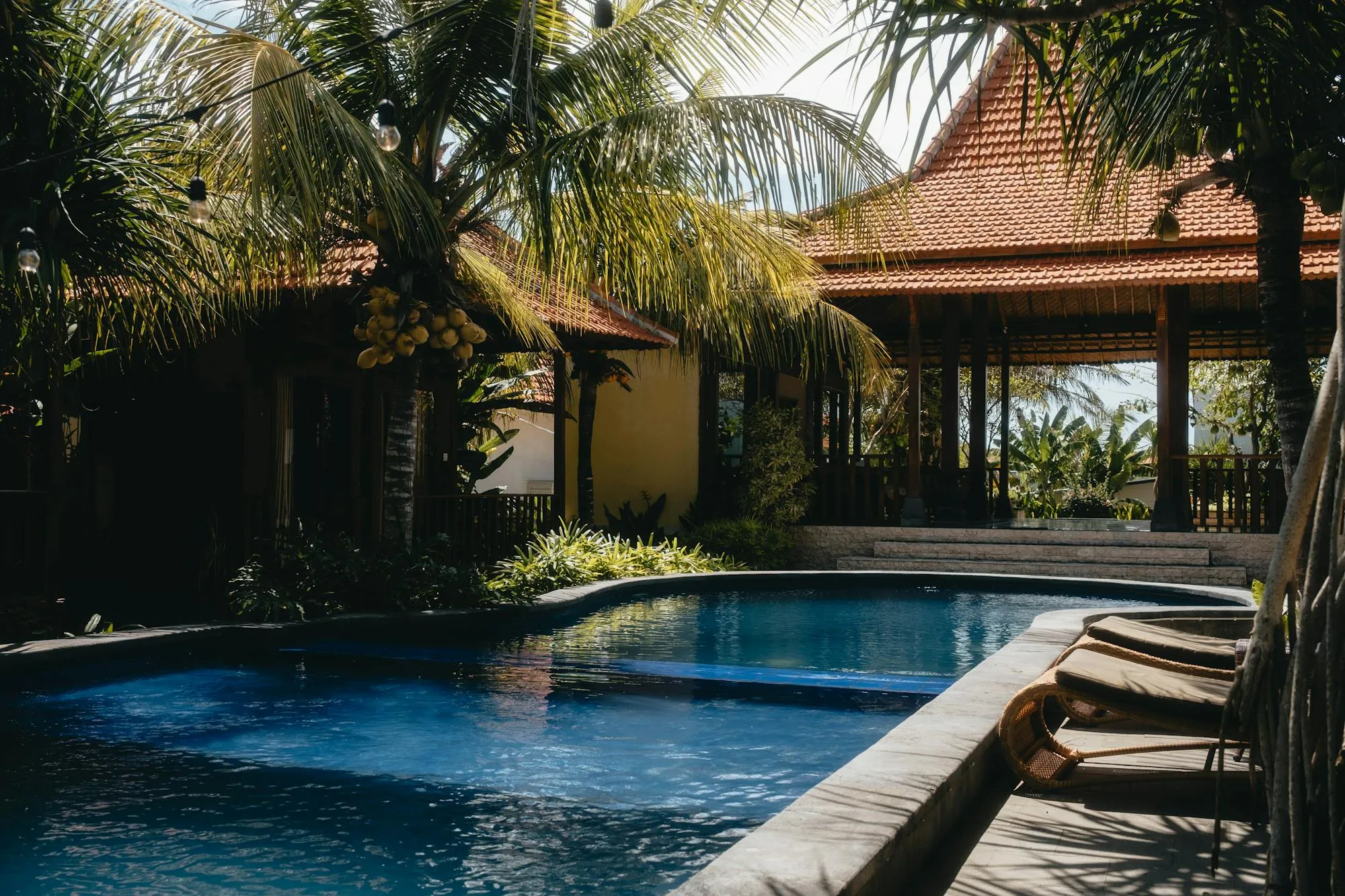 Villa bergaya Bali dengan kolam renang dan pohon kelapa